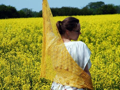 Sun bird shawl