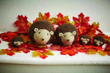 Cute Comfort Knits by Jemma Weston