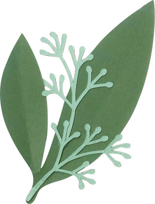 Sizzix Framelits Dies By David Tutera - Eucalyptus