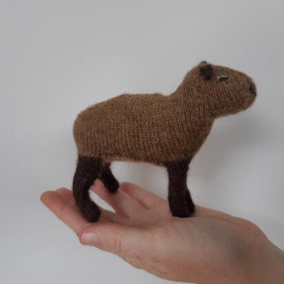 Capybara