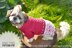 Lace cherry dress for dog