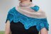 Cadence Shawl