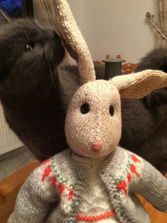 Tilly Hare #2