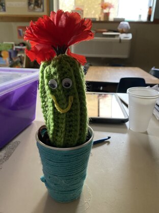 emmas cactus