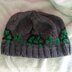 Red eared slider turtle hat