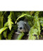 Woodland Animals Book by Patons - 3824