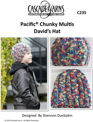 David's Cabled Hat in Cascade Pacific Chunky Multis - C235