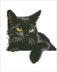 Diamond Dotz Midnight Cat with Frame Diamond Painting Kit