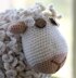 Flossie the Sheep