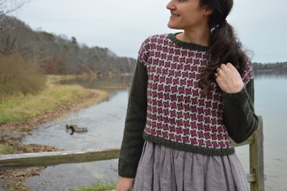 Houndstooth Crop