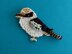Kookaburra