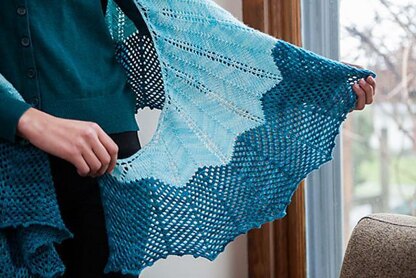 Fractal Shawl