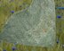 Bridgerton Lace Shawl