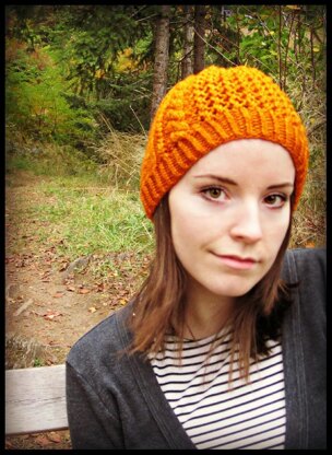 Autumn Sunset - A Beanie