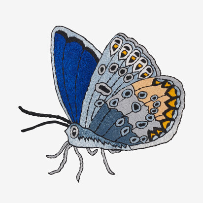 Common Blue Butterfly in DMC - PAT0477 - Downloadable PDF