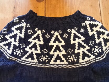 Winter jumper for Christine