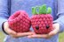The Very Berry Trio