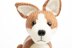 Pembroke Welsh Corgi in Deramores Studio DK - Downloadable PDF