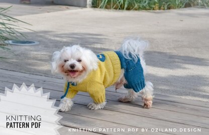 Minion jumpsuit for dog