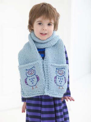 Whoo's In Your Pocket Scarf in Lion Brand Wool-Ease Thick & Quick and Glitterspun - L40136