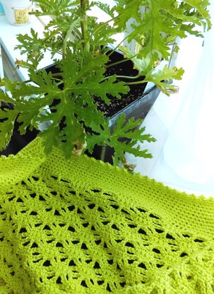 Citronella Bolero/ Shrug