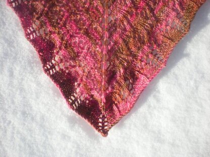 Fuchsia Bloom Shawlette