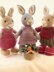Elderberry Bunny and Outfits