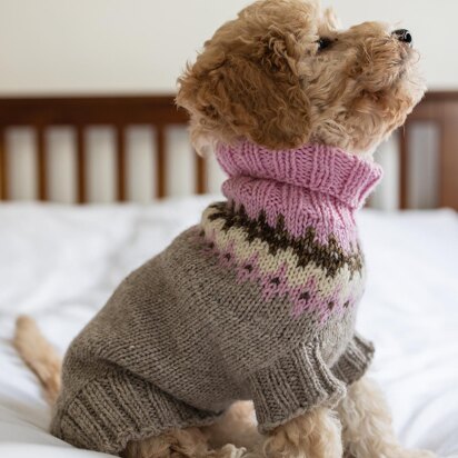 Happy Dog Sweater