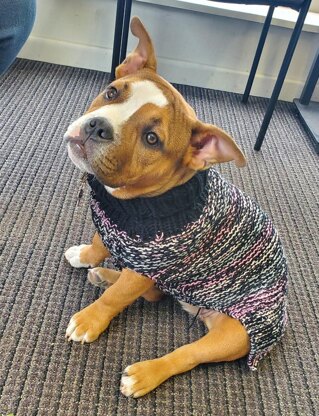 Warm Puppy Sweater