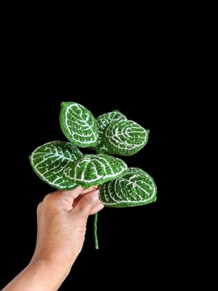 Crochet Nerve plant/Fittonia