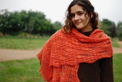 Stheno Shawl