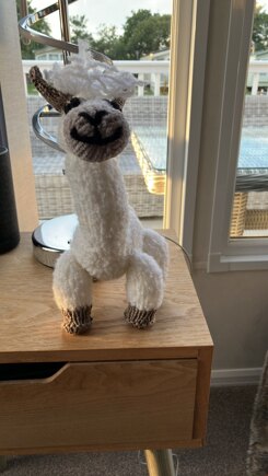 Larry the Alpaca #2