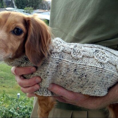 Banjo Cable Mini Doxie Sweater - knitting pattern