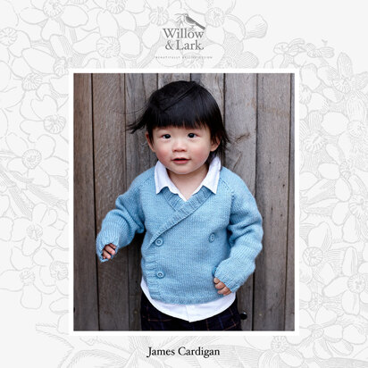 James Cardigan - Knitting Pattern for Boys in Willow & Lark Poetry