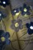 Forget Me Not