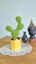 Prickly pear cactus