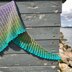 Roller Bird Shawl