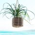 Easy Plant Hanger