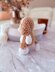 Plush Beagle toy