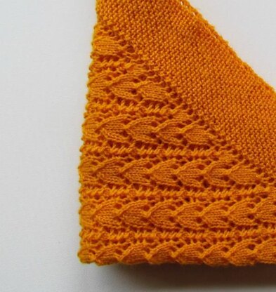 Sunshine Shawl