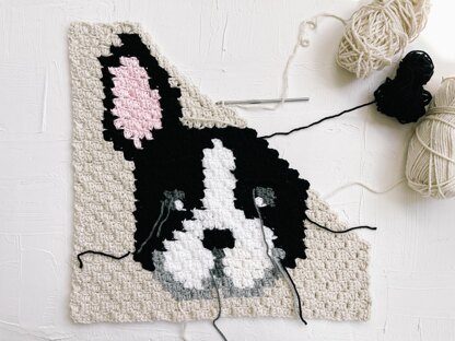 C2C French Bulldog / Boston Terrier Dog Blanket Square