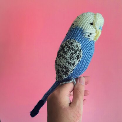 Sparky the Budgie parakeet