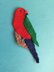 King Parrot