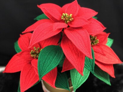 Crochet Poinsettia Pattern