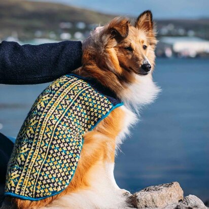 Sunbeam Dug Coat - knitting pattern