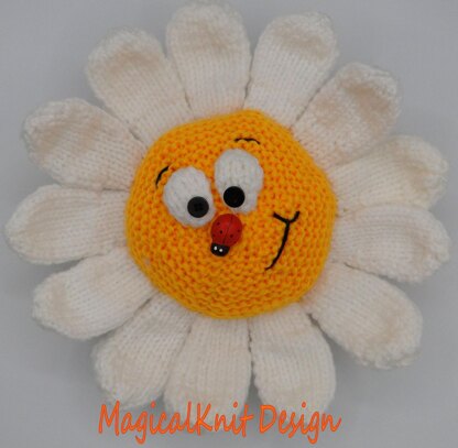 Didi the daisy