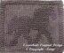 DRAFT HORSE Cloth