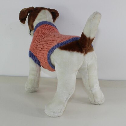 Simple Aran Dog Coat