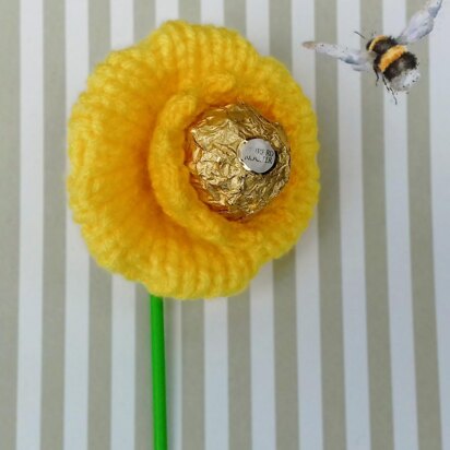 Daffodil - Ferrero Rocher Cover