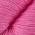 Pink Carnation (5748)